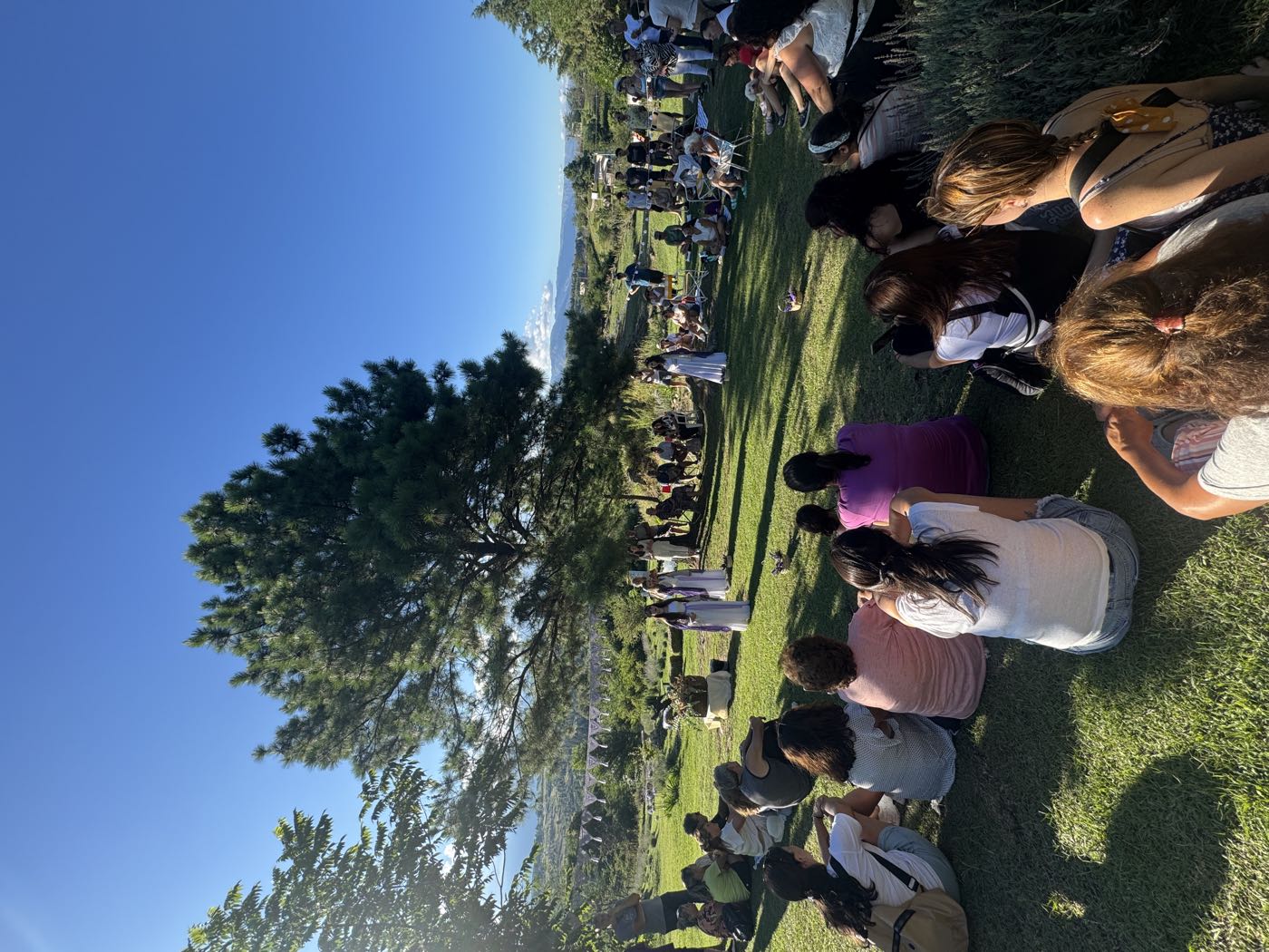Encuentro al aire libre bajo un pino, con personas sentadas en el pasto